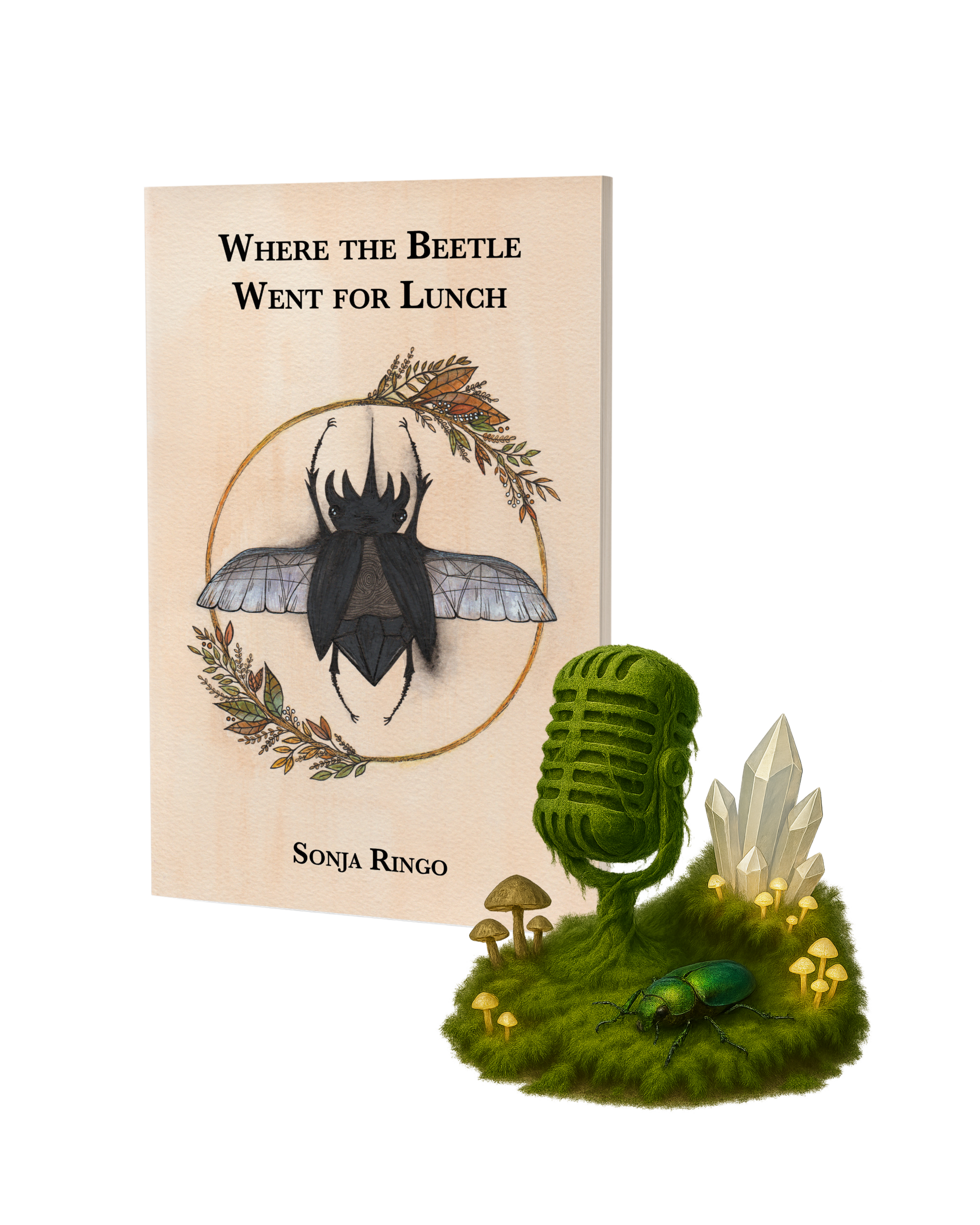 Where the Beetle Went for Lunch audiobook